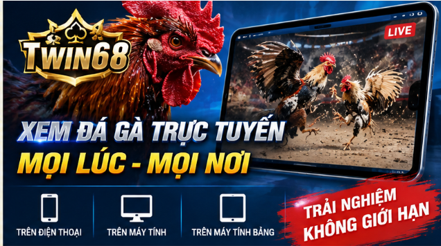Twin68 – Exploring the Online Cockfighting Experience and Key Things to Note 2 image 85
