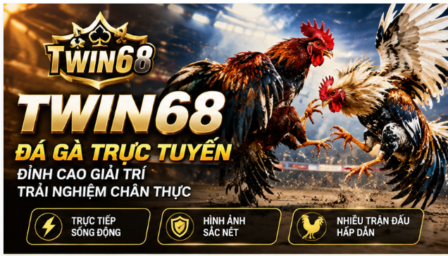 Twin68 – Exploring the Online Cockfighting Experience and Key Things to Note 1 image 87